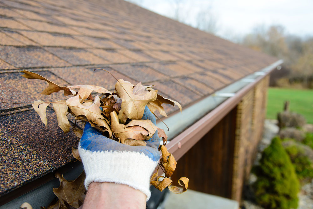 Hamilton gutter cleaning