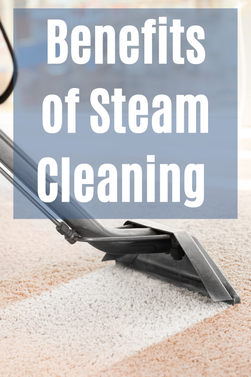 Benefits of Professional Steam Cleaning Top Care Cleaning