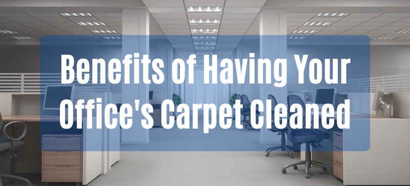 Safe-Dry Carpet Cleaning