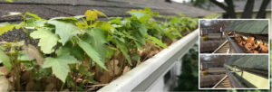 Gutter-Cleaning-Service-Grand-Rapids-MI-2