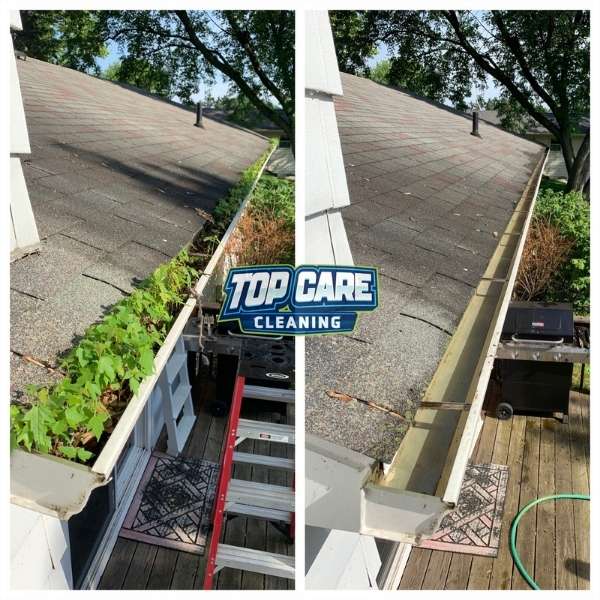 Gutter Cleaning Near