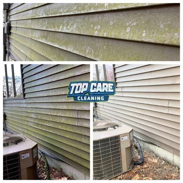 pressure washing and house soft washing professionals | Top Care Cleaning