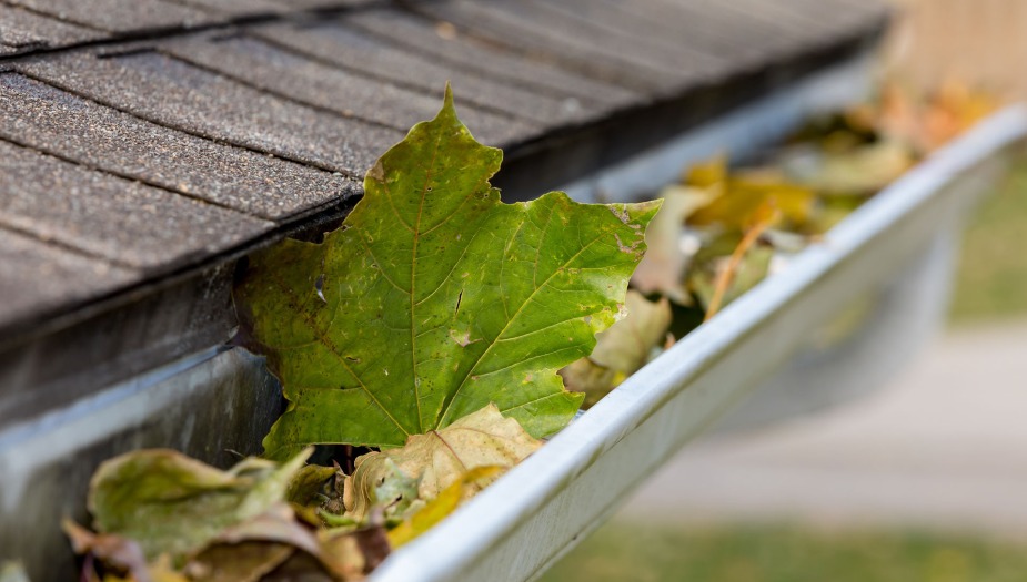 Leaves in gutter-1 | Top Care Cleaning