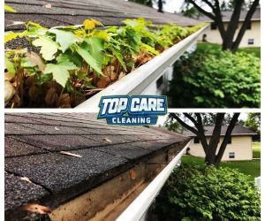 gutter cleaning great service