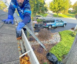 gutter cleaning service near me