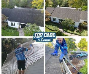 roof cleaning and gutter cleaning service ada mi