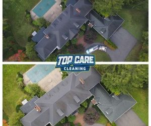 roof cleaning service black algea removal